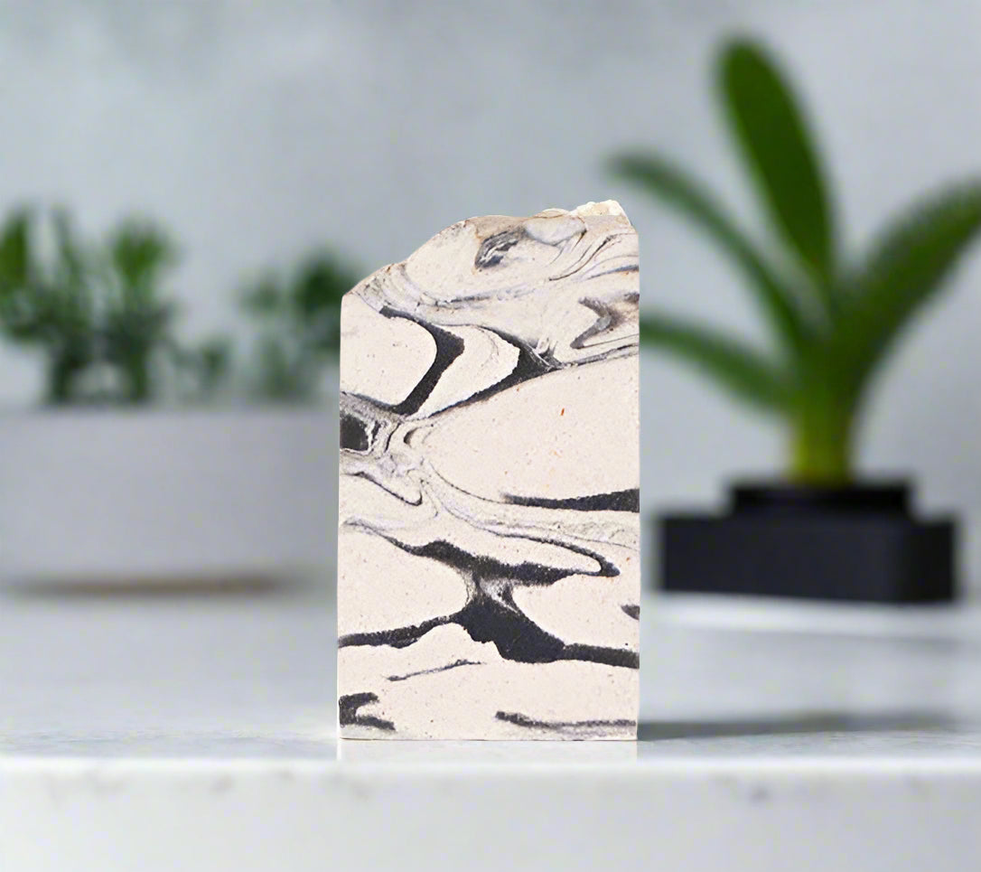 Charcoal Detox Purifying Exfoliating Facial Wash Bar