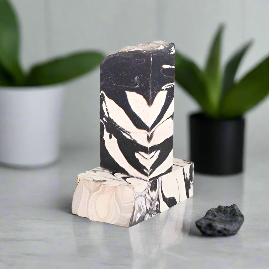Charcoal Detox Purifying Exfoliating Facial Wash Bar